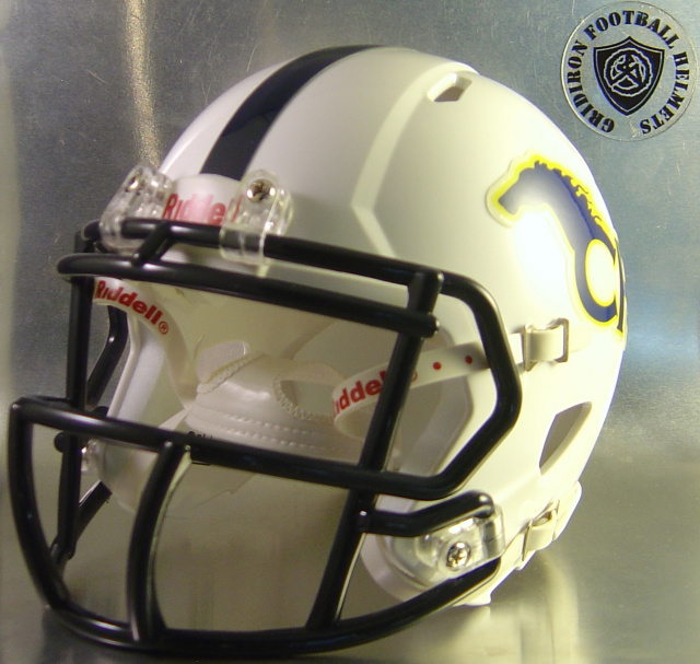 Cypress Ranch Mustangs HS 2012 with navy stripe (TX)